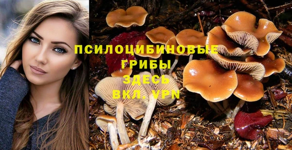 синтетический гашиш Беломорск